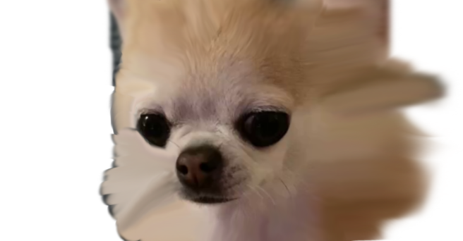 When I farted