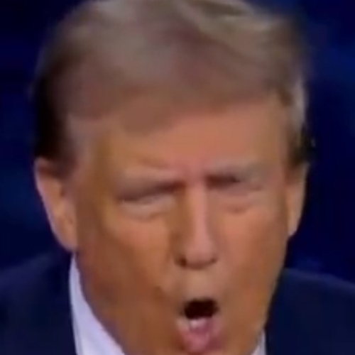 They're Eating the Dogs - Donald Trump