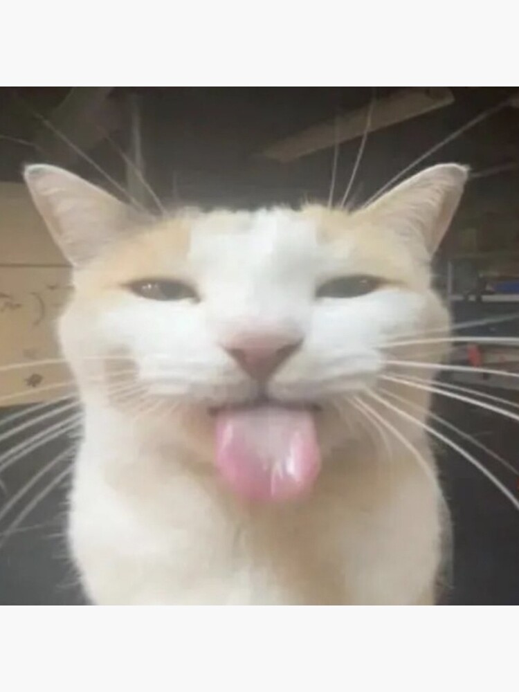 CABALLO HOMOSEXUAL DE LAS MONTAÑAS