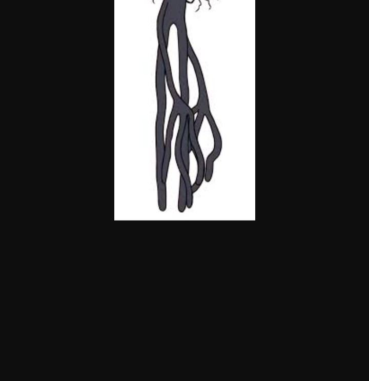 smiling friends jeremy