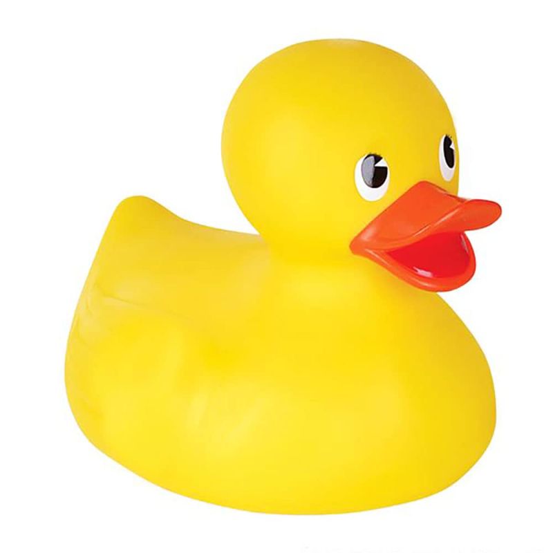 Squeaky Toy