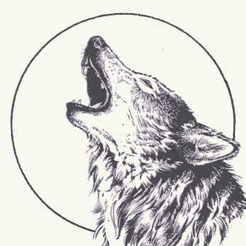 angry wolf