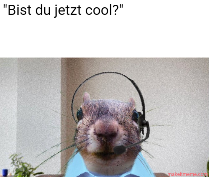 Habicht hat 2 h!!!