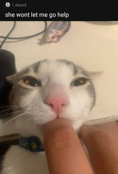 AUUGHHHHHHHHHHHH