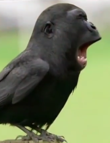 AAAAUUUUUGGGHHHHHH