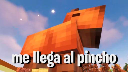 vocaliza loco