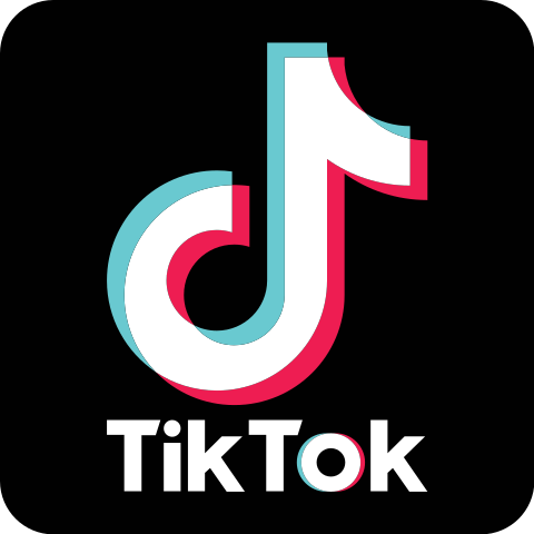 chicken wing tiktok