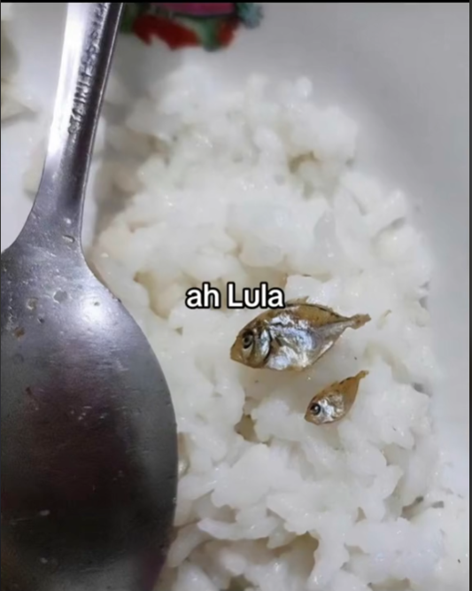 aaa Lula meu presidente