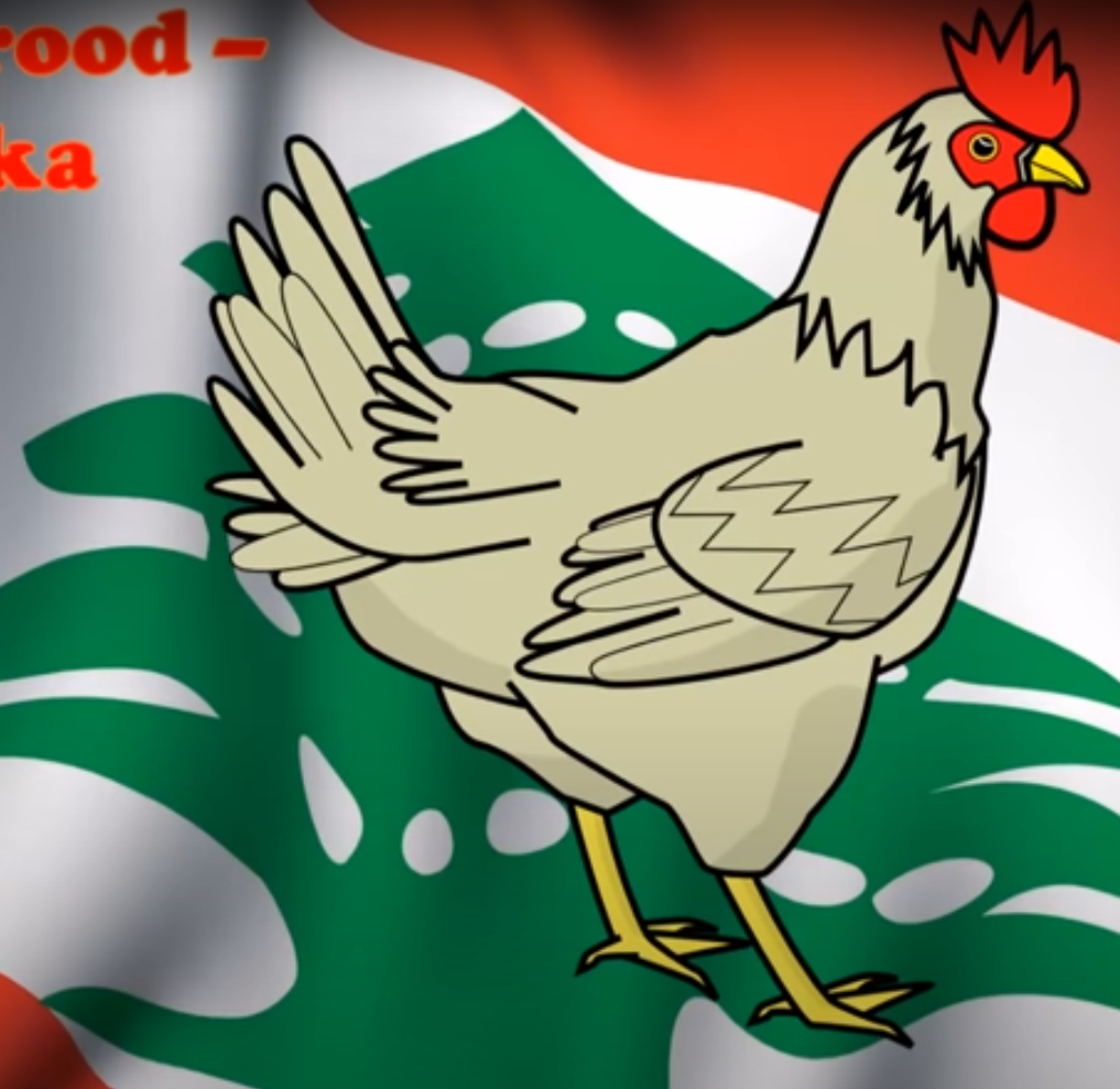 Dj Namrood El Doshka (arabic remix)