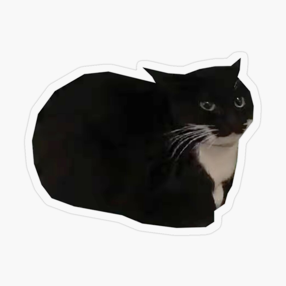 chipi chipi chapa chapa dubi dubi daba daba tiktok cat Christel