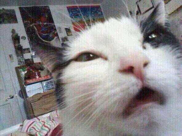 Papita Frita