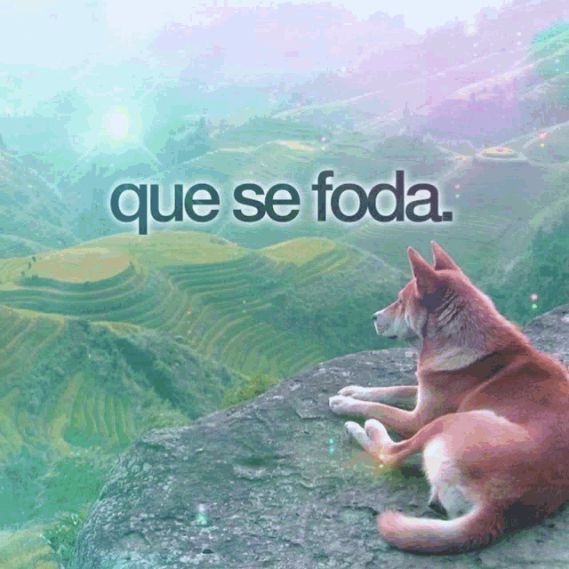 te f0de ent macaco estupr