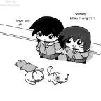 WHO'S THE CAT