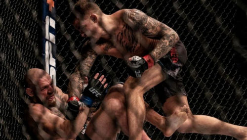 Conor McGregor "Pick the round"