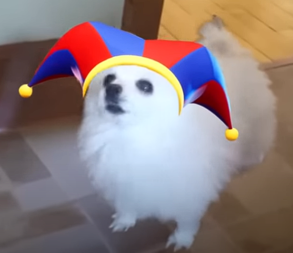 freddy boop