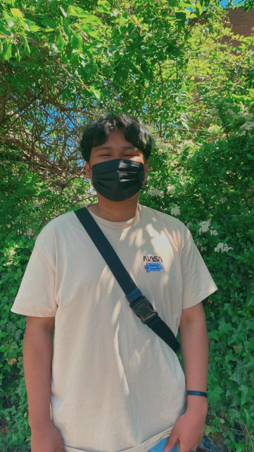 Bad Bunny Neverita (Letra Lyrics)