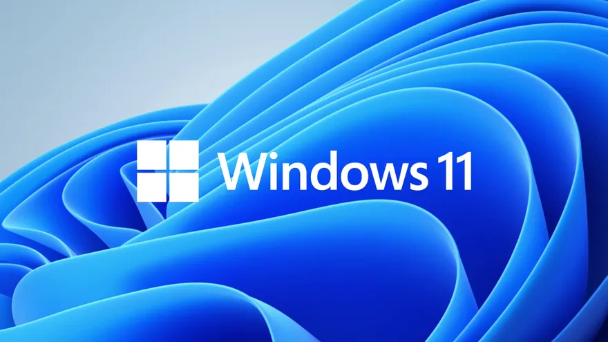 Windows 11 Disconnect