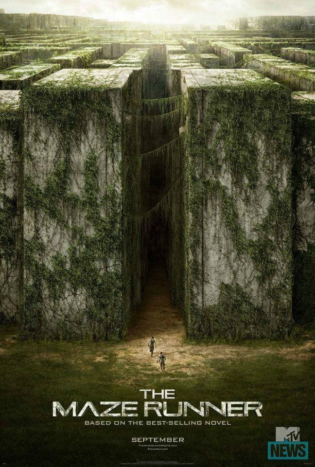 Into the Maze