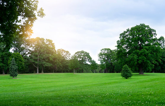 Nature Outside Ambience