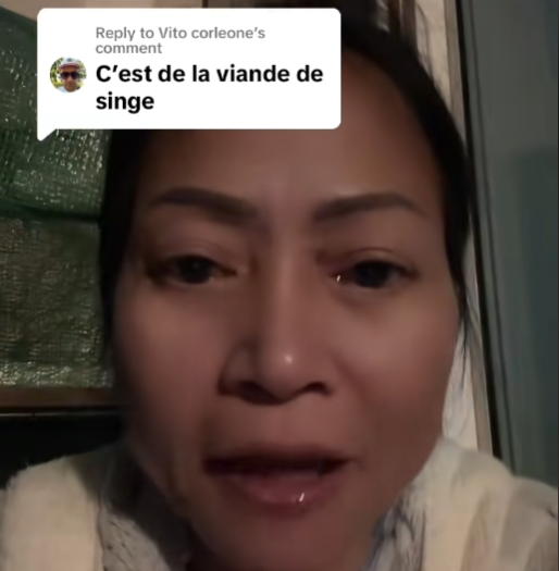 c'est la chatte à ta mere (chloekhmer)
