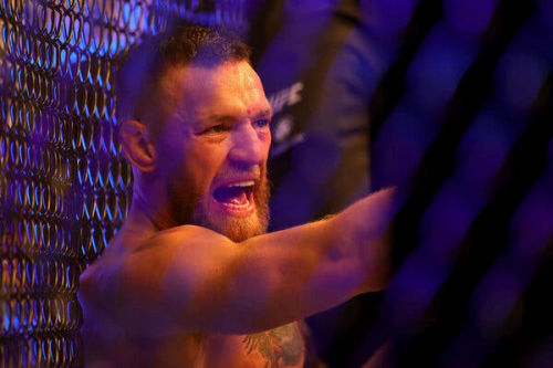 Conor McGregor "Ireland baby"