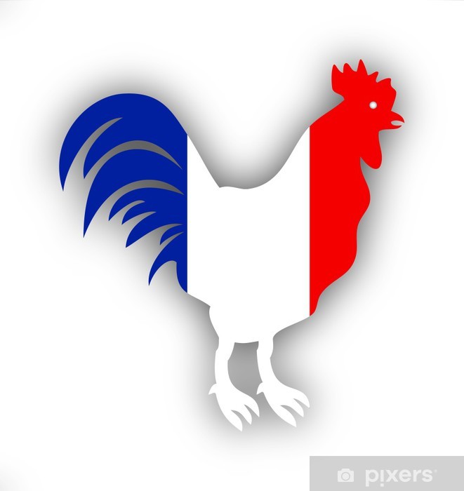 HEY SALUT A TOUS LES AMIS CEST DAVID LAFARGE POKEMON