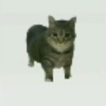 OIIAOIIA CAT Nokia