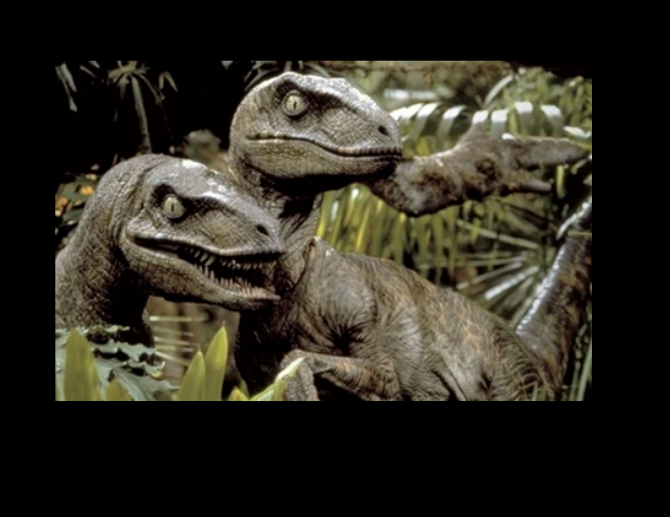 raptor bite