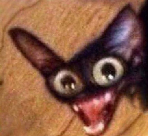 laughing dog meme