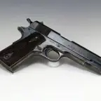 Distant Gun Shot