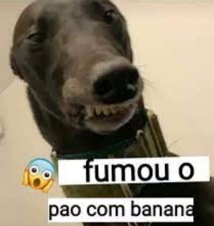 Dalva