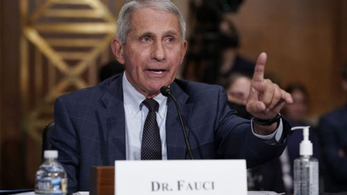 Absolutely not - Dr. Fauci