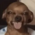 Disgust