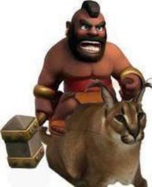 HOG RIDAAAAAAa