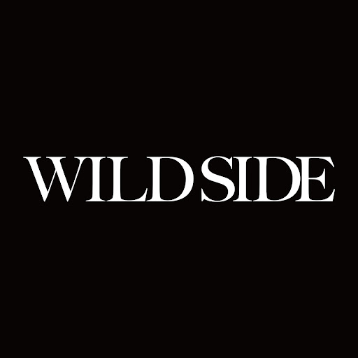 Wild Side (Anime Version) ALI (youtube)