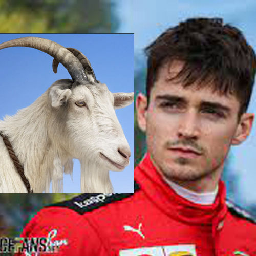 Charles Leclerc - Goat Simulator