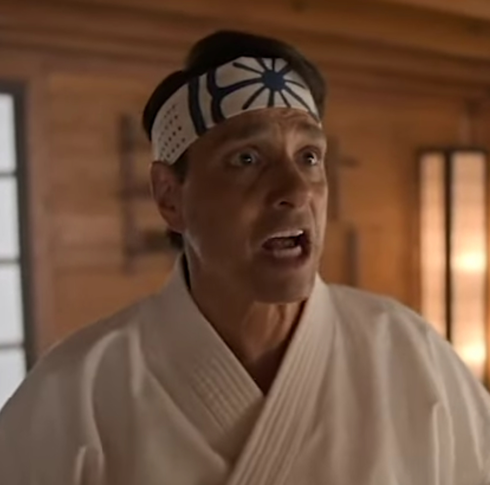 not the miyagi do way (Cobra Kai)