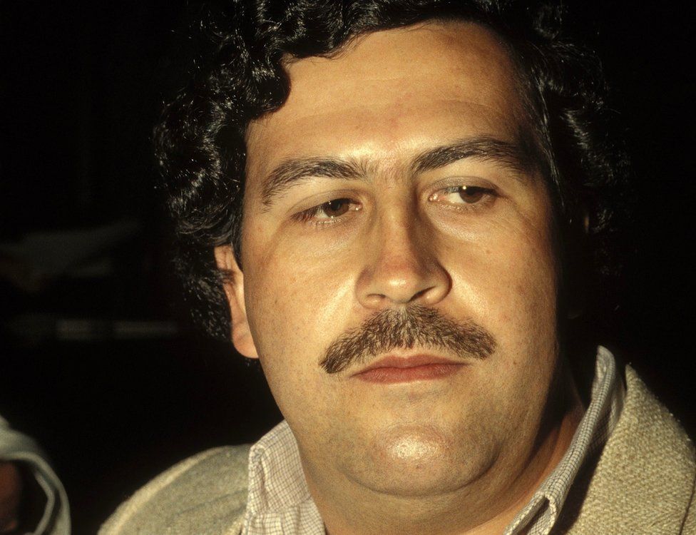 Narcos Plata o Plomo Scene