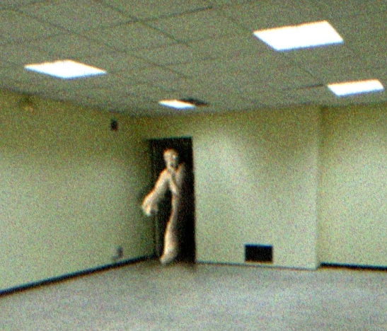 Skin-Stealer "Hey" - Escape the Backrooms