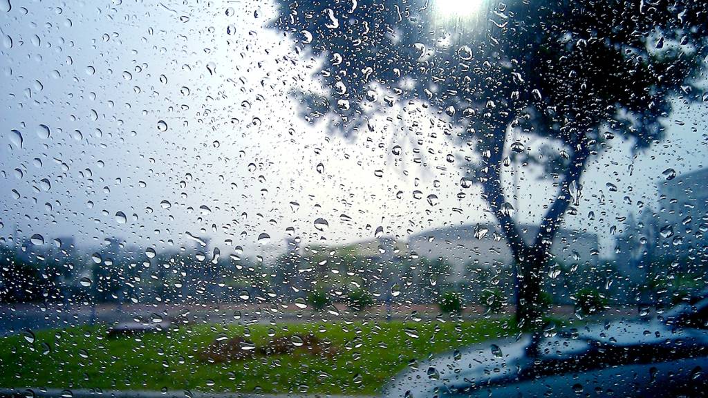 1EGGS 1X1X1X1 CHASE THEME