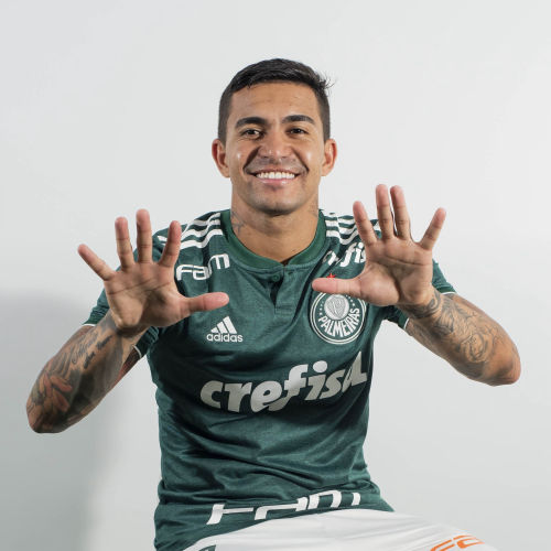 Palmeiras - Rádio Globo