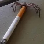 grox AYO CHILL