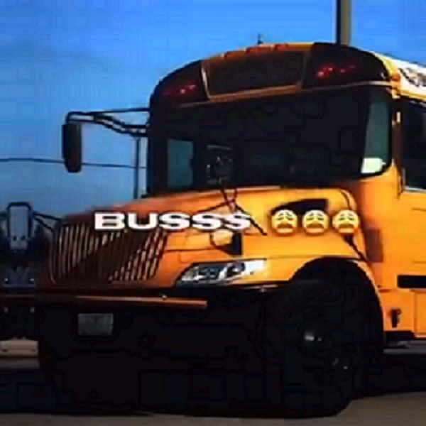 Buss
