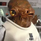 It's a trap!