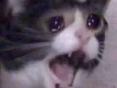 miau scream