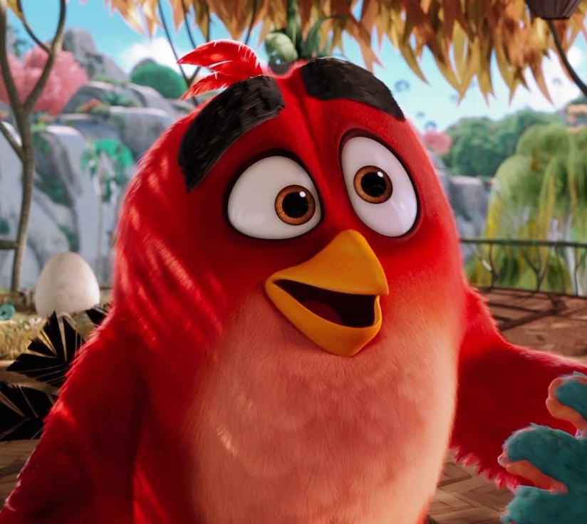 Angry Birds I'm Sorry, What?