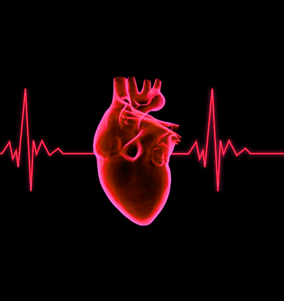 Phas Heart Beat
