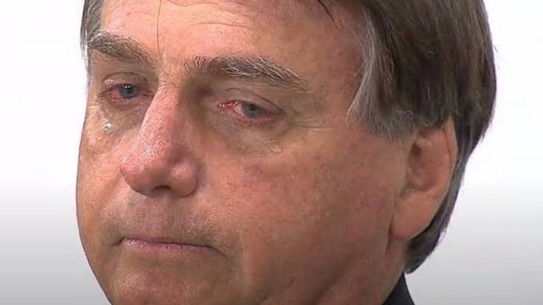 obrigadopordaragua (bolsonaro) (320 kbps)