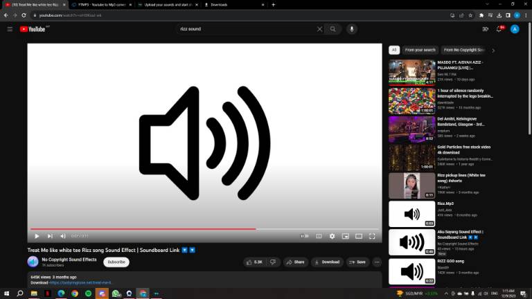 Treat Me like white tee Rizz song Sound Effect Soundboard Link