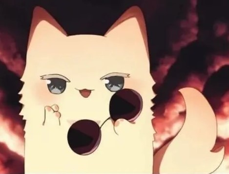 Meow Mai meow